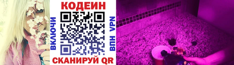 Codein Purple Drank  Палласовка 