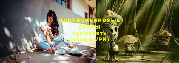 синтетический гашиш Богородицк