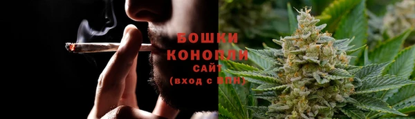 дурь Богданович
