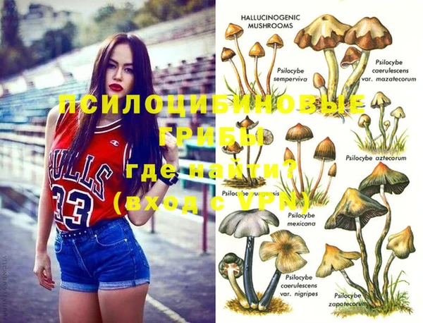 дурь Богданович