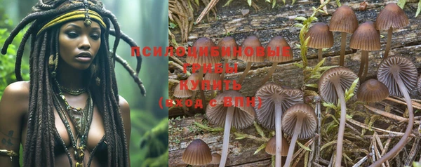 дурь Богданович