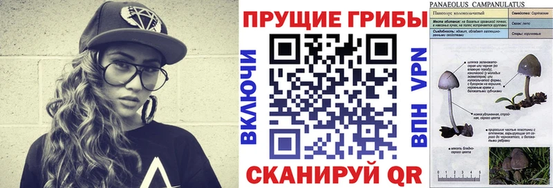 Псилоцибиновые грибы мухоморы  Палласовка 